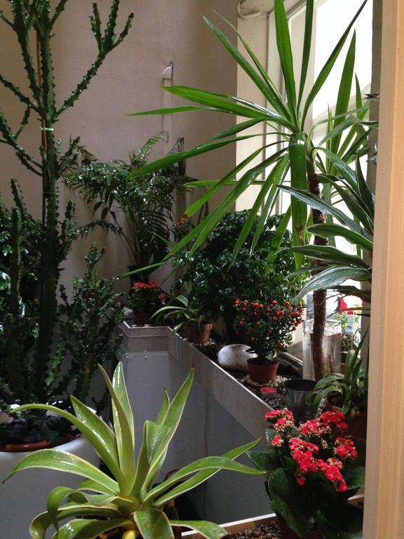 Sleeping Bed & Breakfast Roma